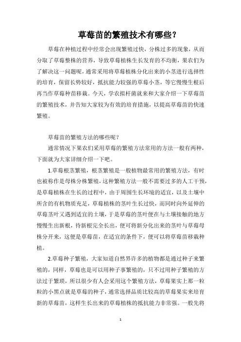 草莓苗的繁殖技术有哪些？