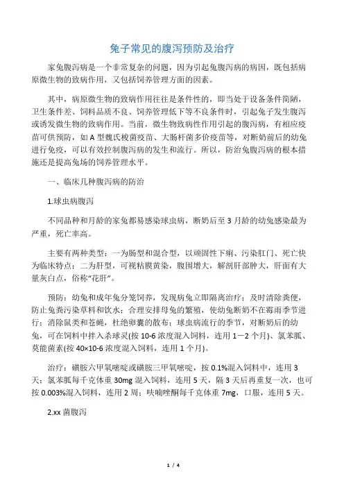 兔子常见的腹泻预防及治疗