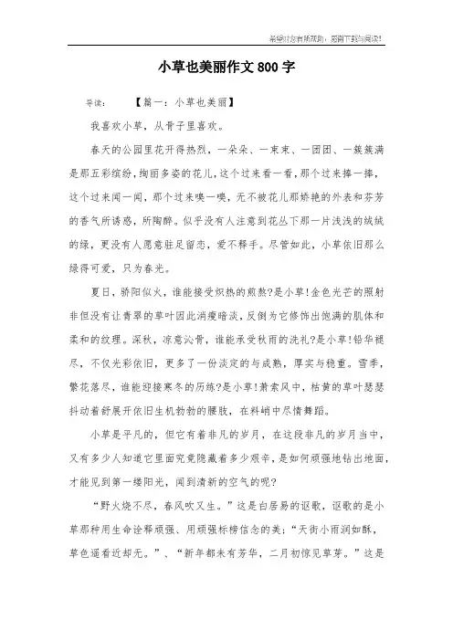 小草也美丽作文800字