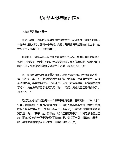 《寒冬里的温暖》作文