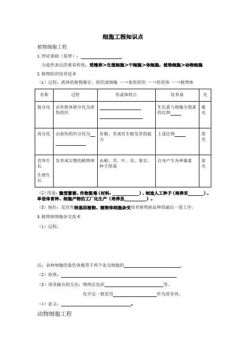 细胞工程知识点