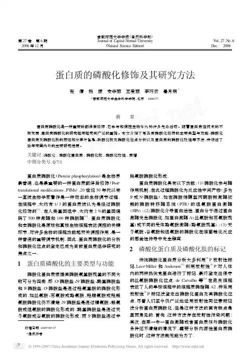 蛋白质磷酸化及其研究方法