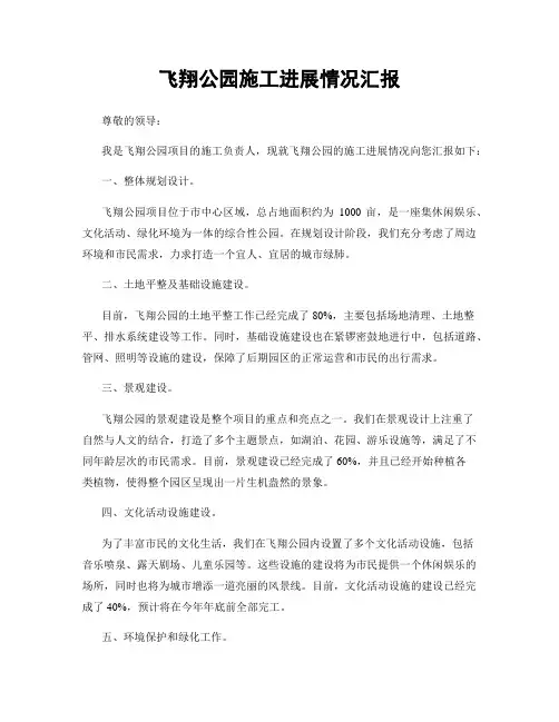 飞翔公园施工进展情况汇报