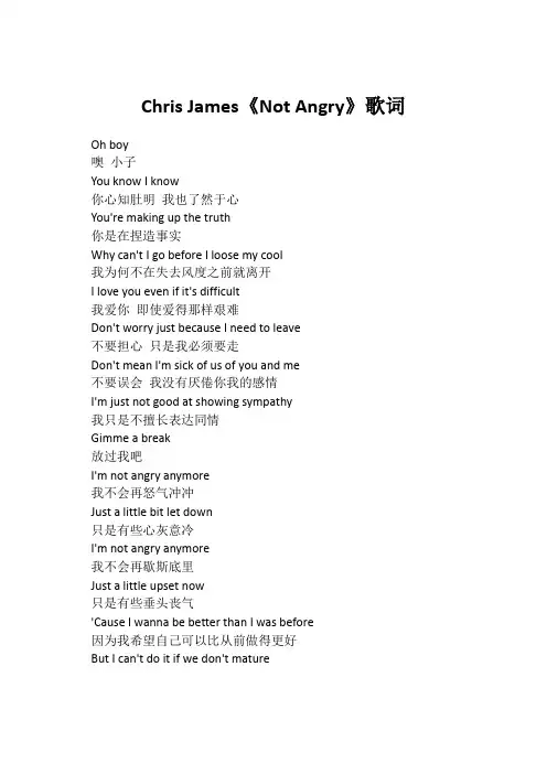 Chris James《Not Angry》歌词(专辑：Not Angry)