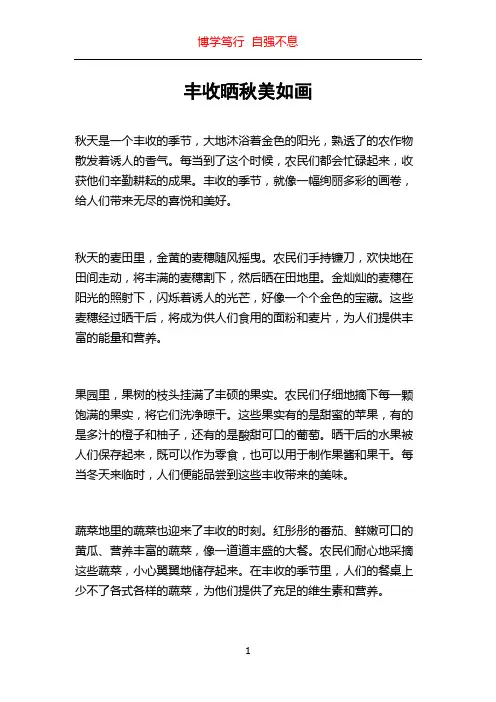 丰收晒秋美如画