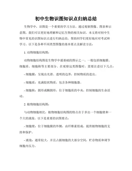 初中生物识图知识点归纳总结