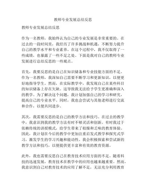 教师专业发展总结反思