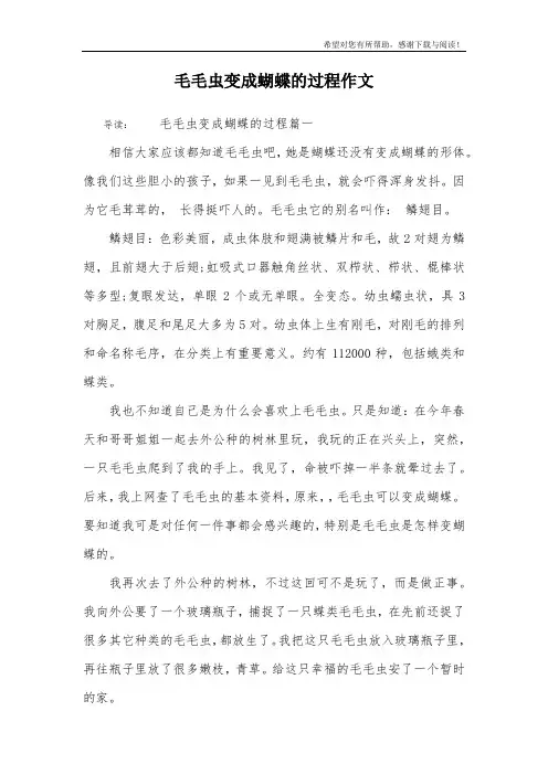 毛毛虫变成蝴蝶的过程作文