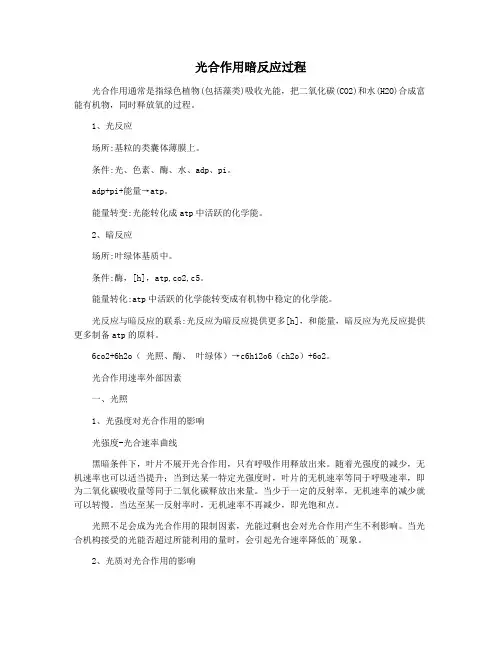 光合作用暗反应过程