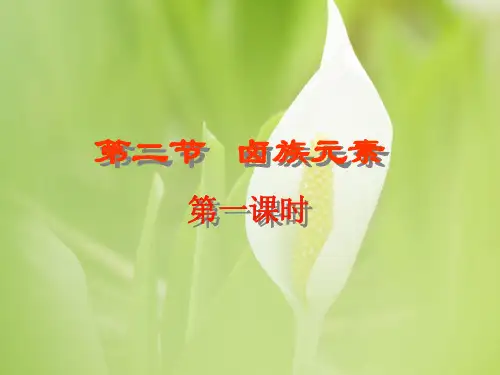 卤族元素PPT教学专用课件