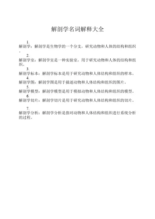 解剖学名词解释大全