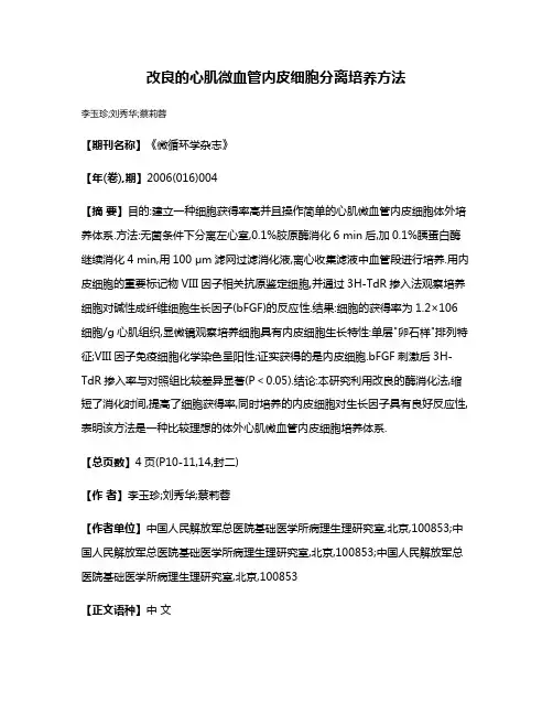 改良的心肌微血管内皮细胞分离培养方法