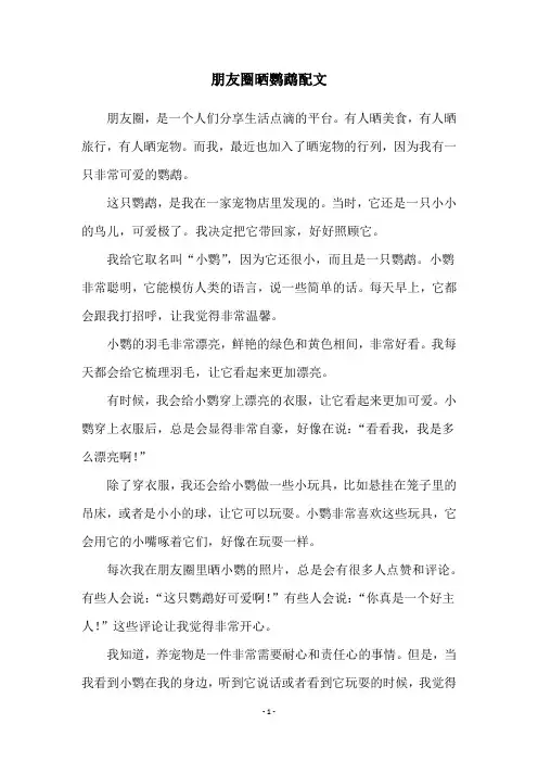 朋友圈晒鹦鹉配文