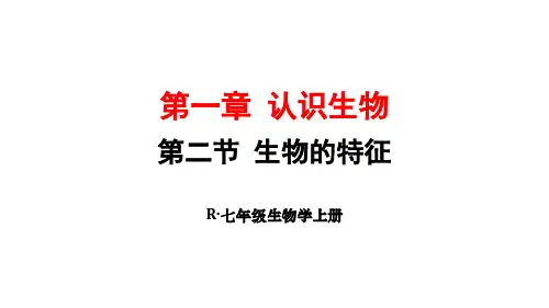 第一章 认识生物 第二节 生物的特征(课件)人教版生物(2024)七年级上册