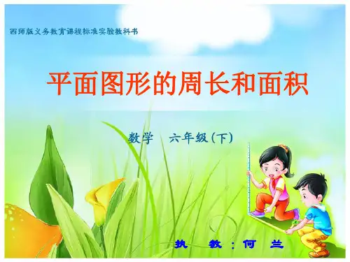 周长和面积课件.ppt