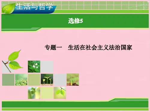 【优化指导】高考政治总复习 专题一 生活在社会主义法治国家课件 新人教版选修5