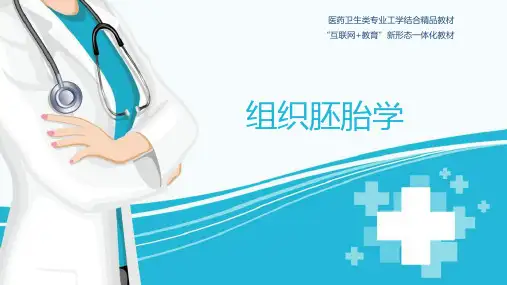 03  上皮组织