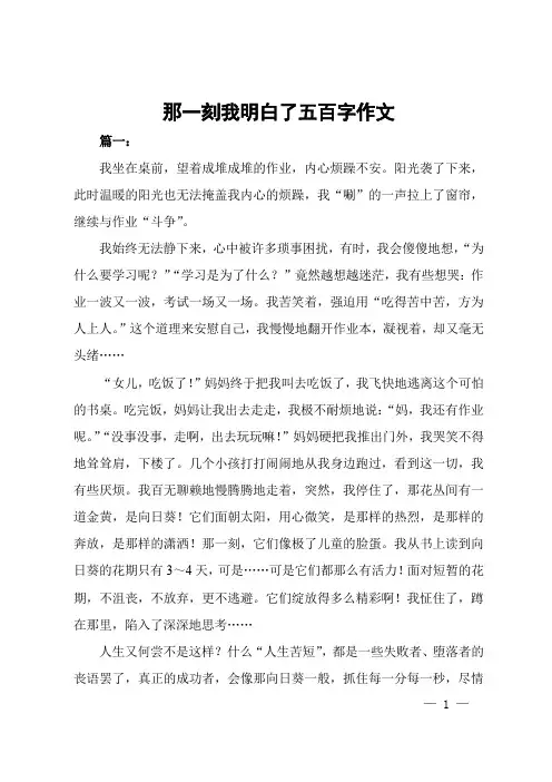 那一刻我明白了五百字作文