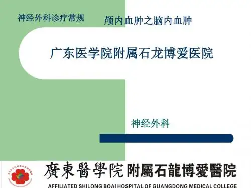 颅内血肿-脑内血肿ppt课件