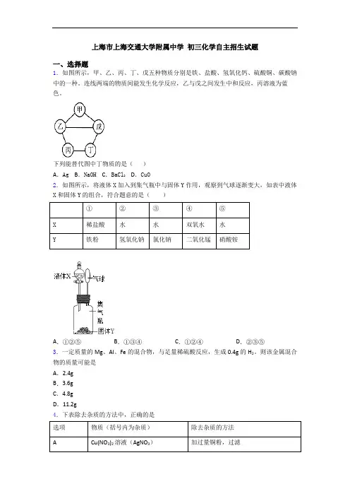 上海市上海交通大学附属中学 初三化学自主招生试题
