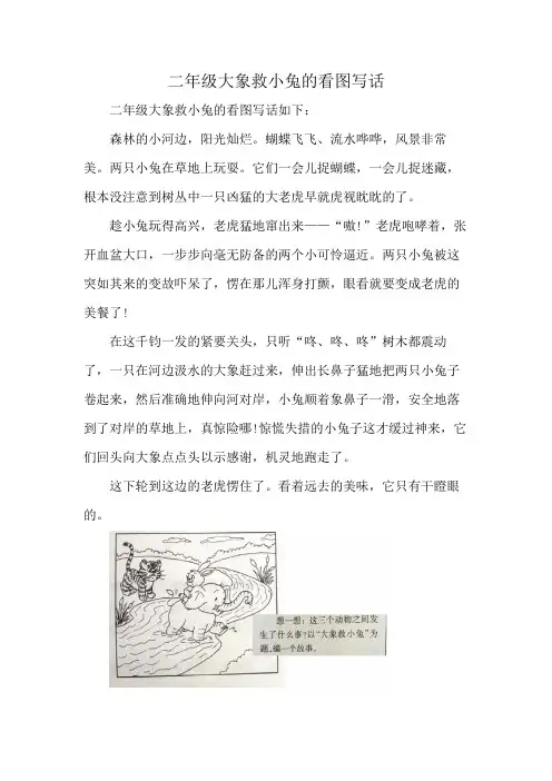 二年级大象救小兔的看图写话