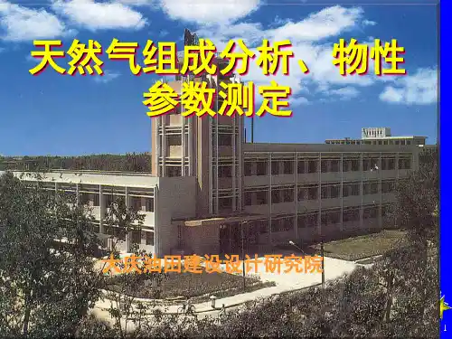 天然气组成分析