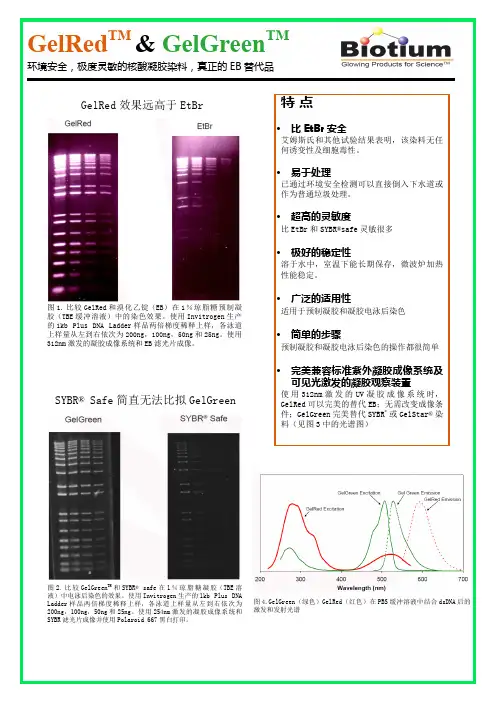GelRed 安全无毒核酸染料,真正的EB替代者