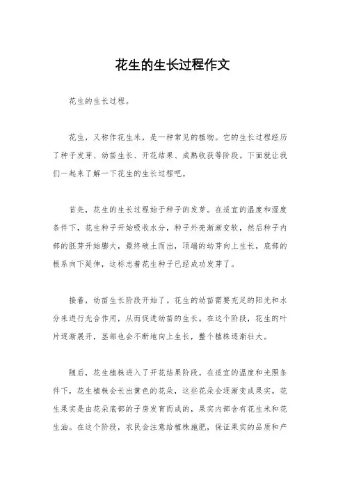 花生的生长过程作文