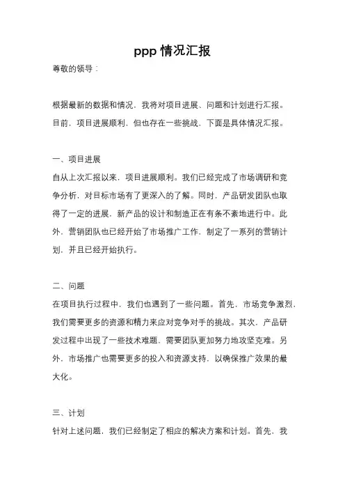 ppp情况汇报