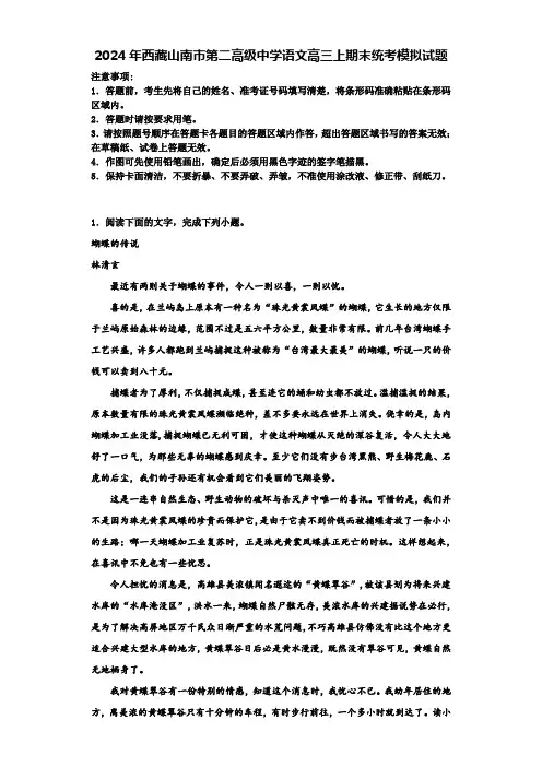 2024年西藏山南市第二高级中学语文高三上期末统考模拟试题含解析
