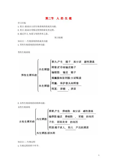 七年级生物下册 1.2 人的生殖导学案 (新版)新人教版