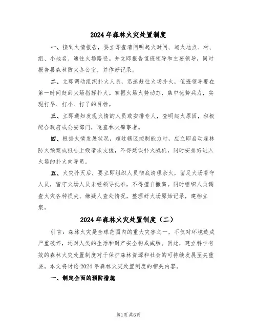 2024年森林火灾处置制度(三篇)