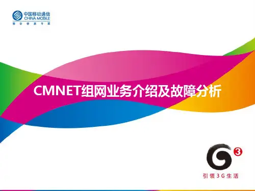 CMNET组网业务介绍及故障分析