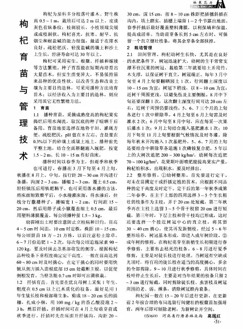 枸杞育苗与管理技术