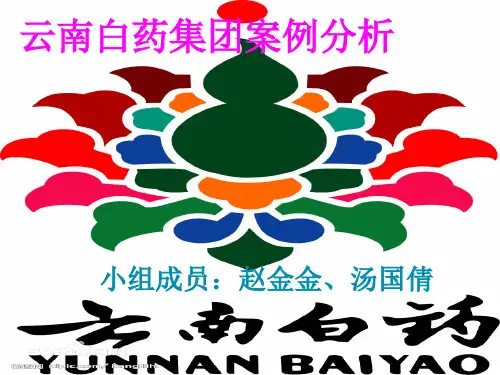 市场营销分析案例—云南白药集团PPT