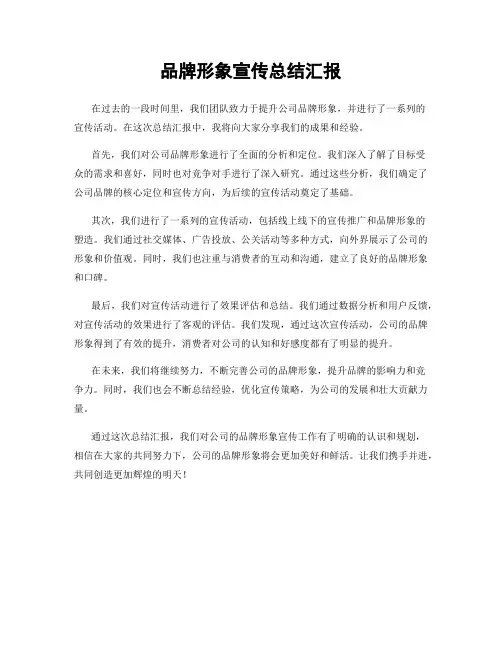 品牌形象宣传总结汇报