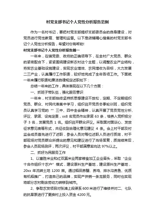 村党支部书记个人党性分析报告范例