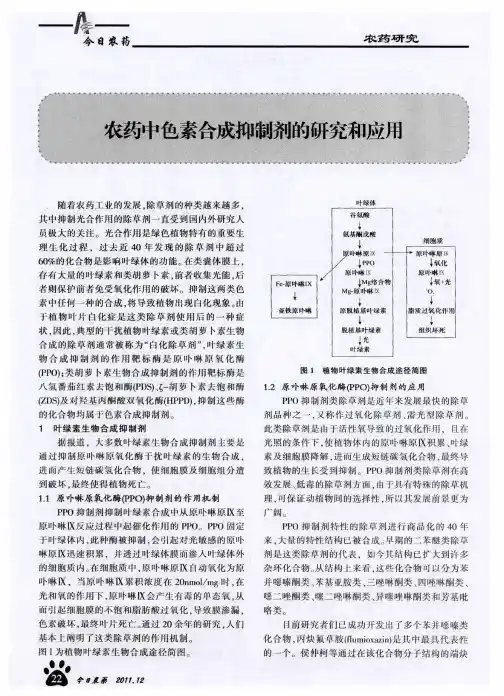 农药中色素合成抑制剂的研究和应用