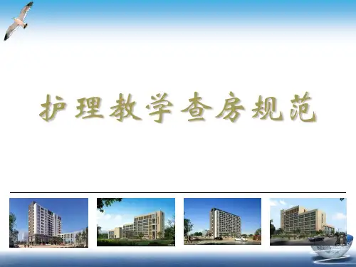 护理教学查房