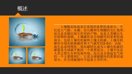 土壤碳循环vs全球碳循环ppt课件