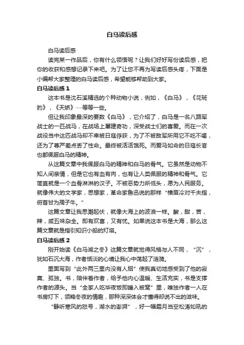 白马读后感
