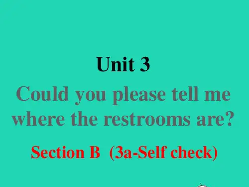 九年级英语全册 Unit 3 Section B (3a-selfcheck)课件