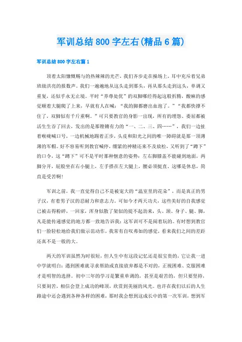 军训总结800字左右(精品6篇)
