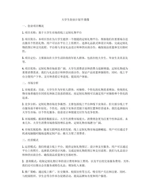大学生创业计划书 摄像