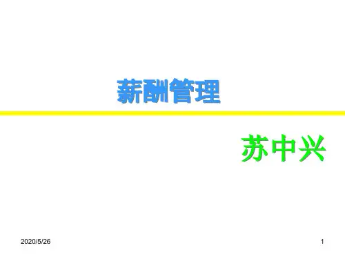 薪酬管理(人大苏中兴老师课件)