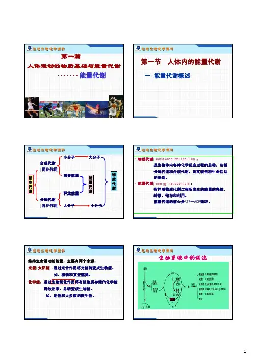 第一篇人体运动的物质基础与能量代谢-3能量代谢-新-1