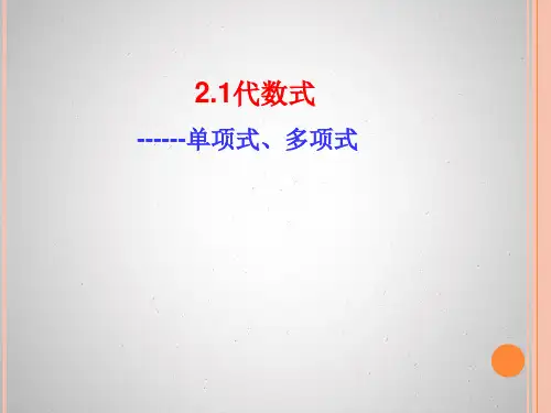 2.1代数式(单项式、多项式)