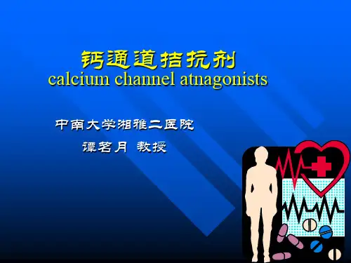 钙通道拮抗剂