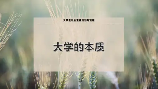大学的本质