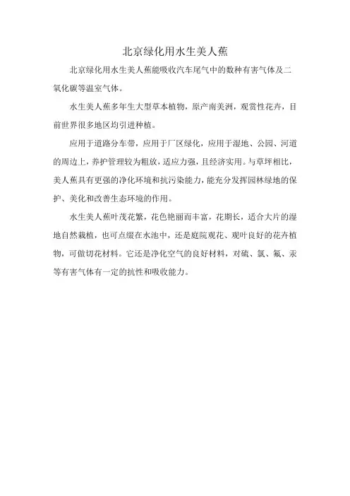 北京绿化用水生美人蕉